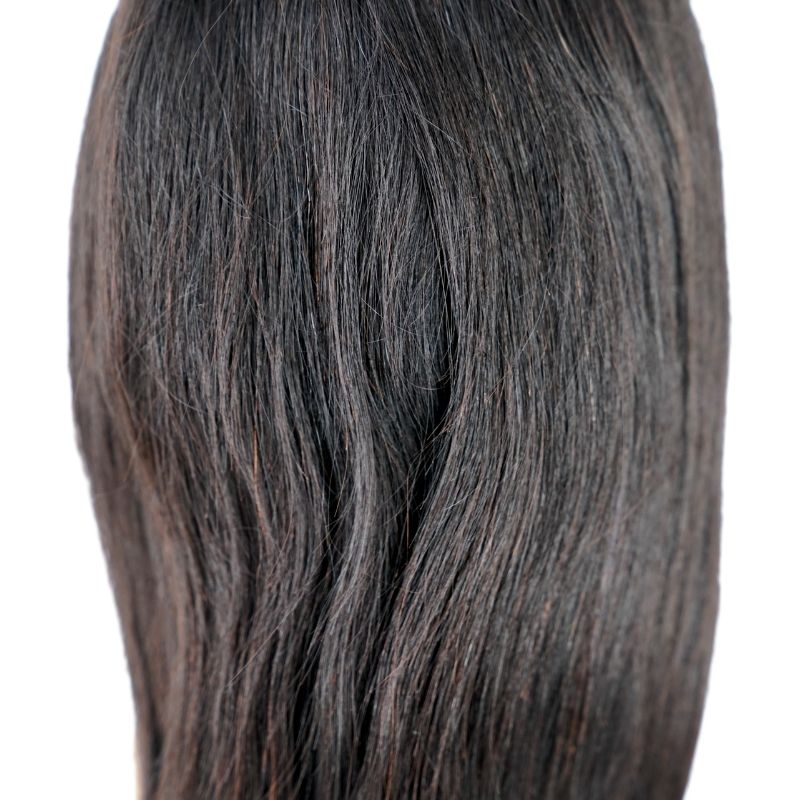 Silky Straight Lace Wig